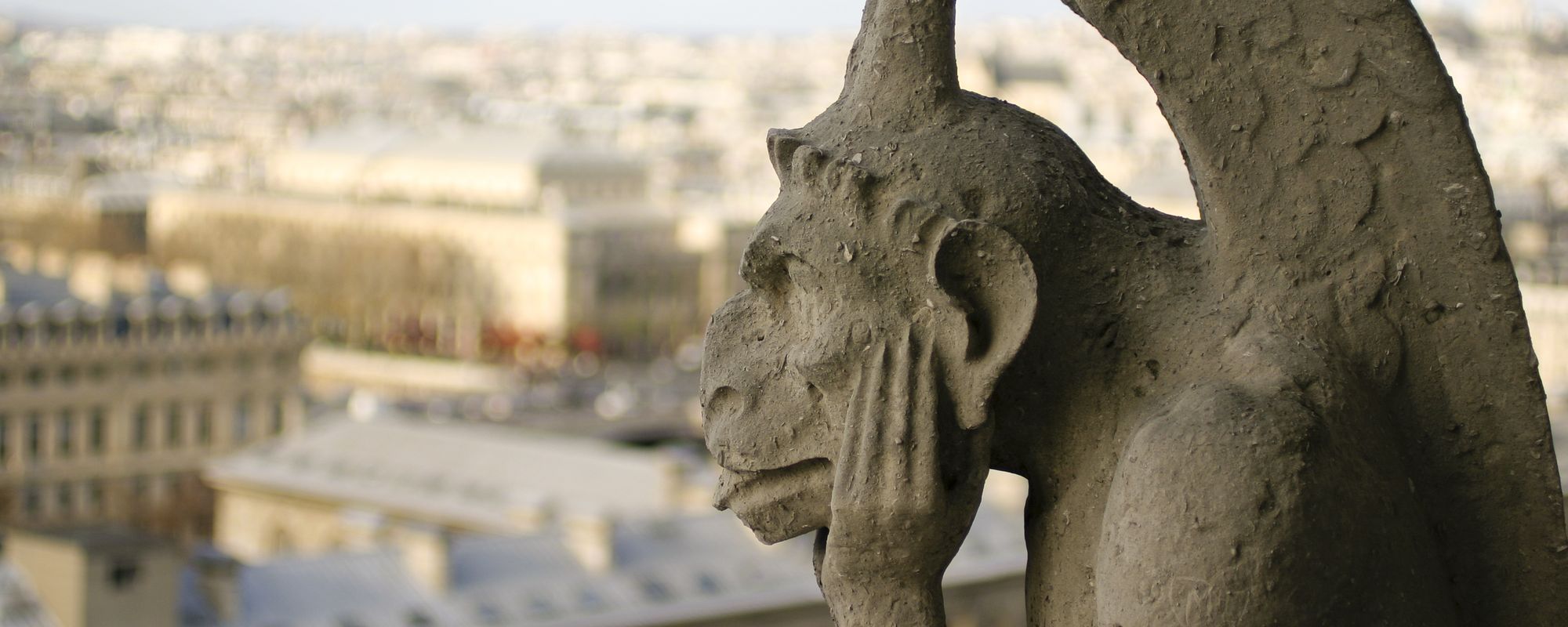Gargoyle overlooking Paris