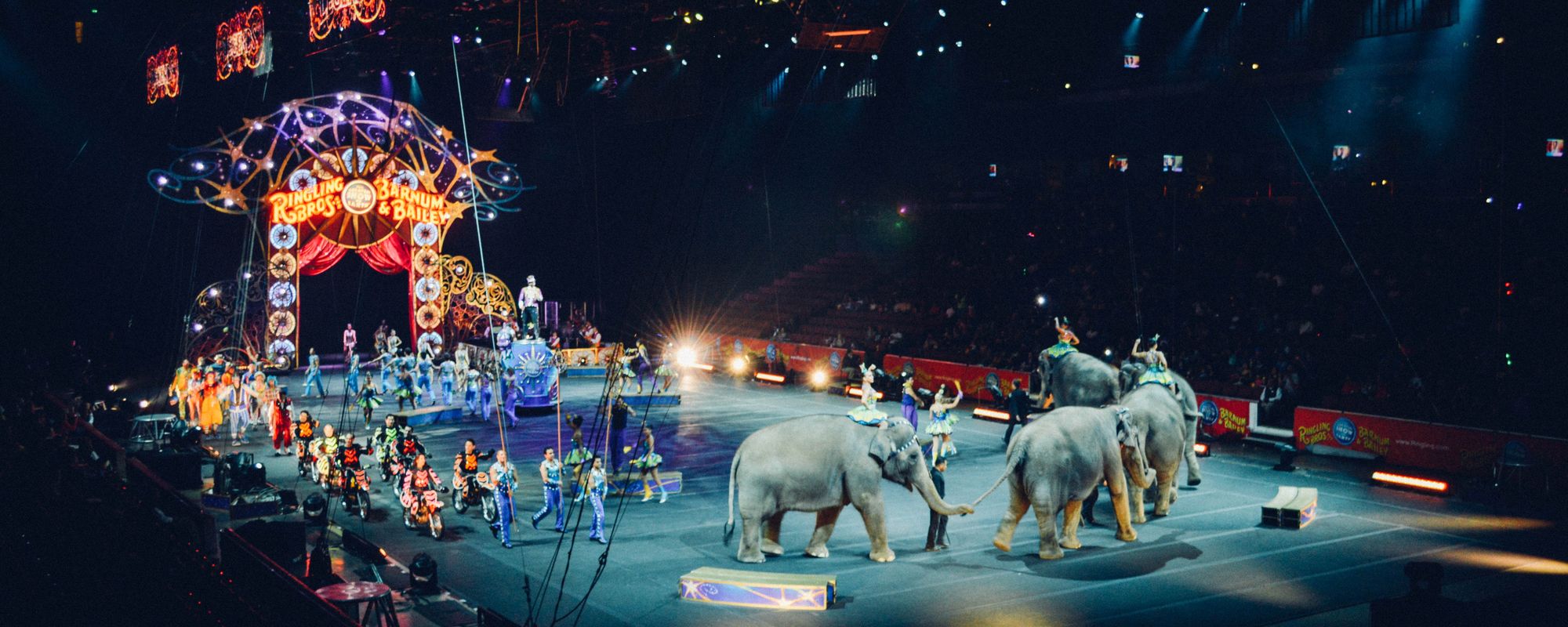 Parada in arena de circ.